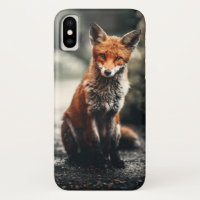 Curieux Big Red et White Fox assis dans la nature