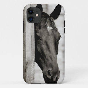 Coque Case-Mate iPhone Curieux Cheval noir