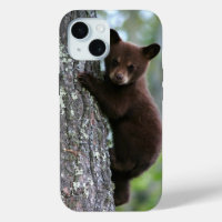 Cute Black Bear Cub Escalade un arbre