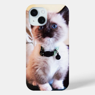 Coque Case-Mate iPhone Cute Blue Oyed Masqué Kitten photo