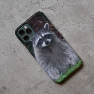 Coque Pour iPhone 16 Cute Forest Raccoon Photo Faune