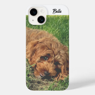 Coque Case-Mate iPhone Cute Golden Doodle