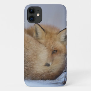 Case-Mate iPhone Case Cute Little Fox Curling Up Winter Photo