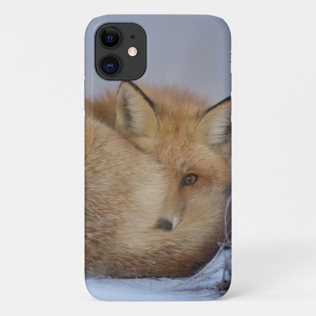 Coques Case-Mate iPhone Cute Little Fox Curling Up Winter Photo (Dos)