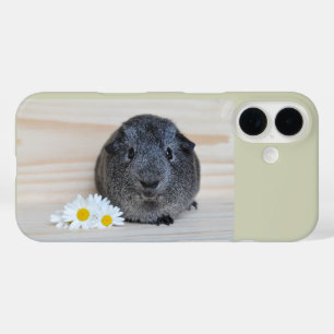 Coque Pour iPhone 16 Cute Smooth, Argent Agouti Guinée Pig et marguerit