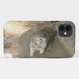 Case-Mate iPhone Case Cute Squirrel en Yosemite, Californie