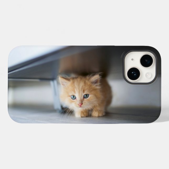 Coques Case-Mate iPhone Cutest Baby Animals | Fluffy Orange Kitten (Verso (horizontal))