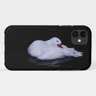 Case-Mate iPhone Case Cygne Coscoroba P3442