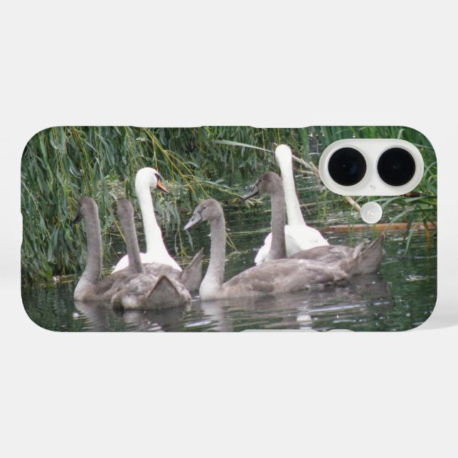 Coques Case-Mate iPhone Cygnes et jeunes cygnes (Verso (horizontal))