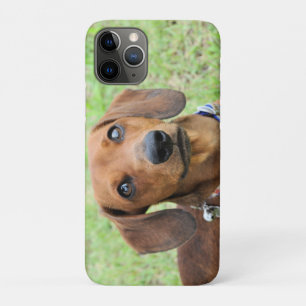 Case-Mate iPhone Case Dachshund