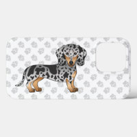 Dachshund à poil court bringé noir et feu & pattes