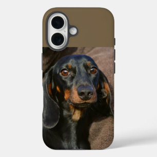 Coque Pour iPhone 16 dachshund noir et tan