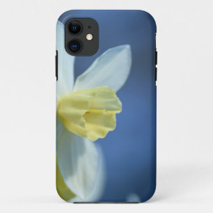 Coque iPhone 11 Daffodique au printemps