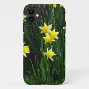 Coques Pour iPhone Daffodiques de printemps