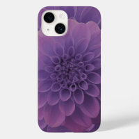 Dahlia violet