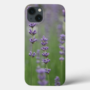 Coque Case-Mate iPhone Dainty Lavender à peine Il iPad Air Case