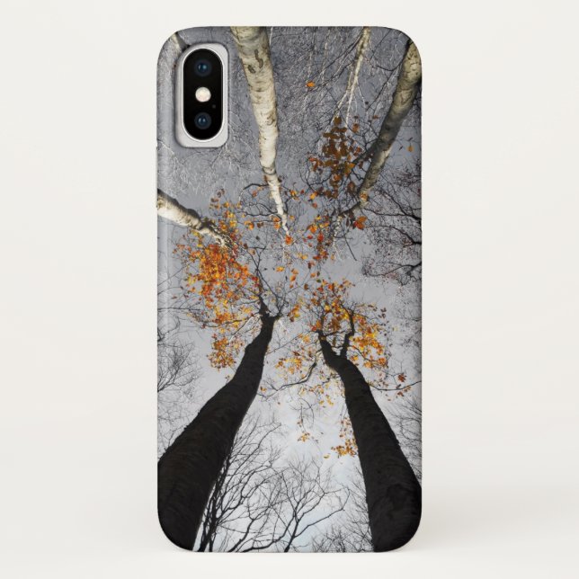 Coques Case-Mate iPhone dans la forêt (Dos)