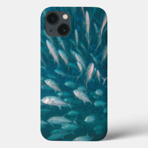 Etui iPhone 13 Dans les crics