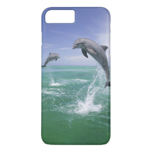 Coque Case-Mate Pour iPhone Dauphins à gros nez Tursiops truncatus