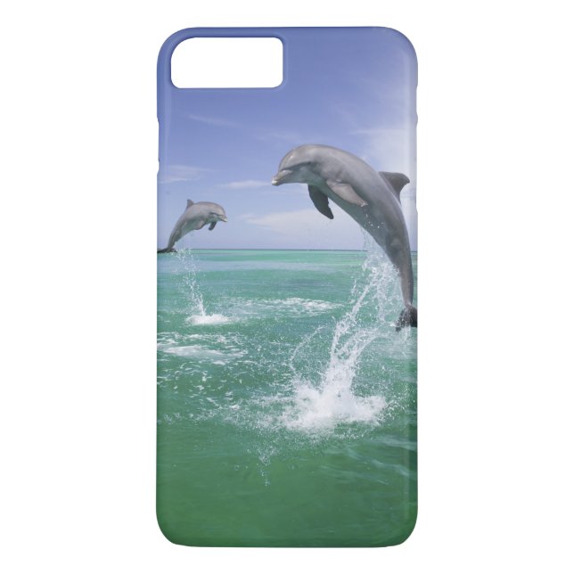 Coques Case-Mate iPhone Dauphins à gros nez Tursiops truncatus (Dos)