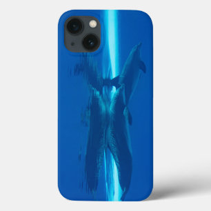 Case-Mate iPhone Case Dauphins et réflexions