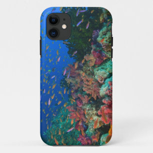 Etui iPhone Case-Mate Demoiselles Pseudanthias (Pseudanthias