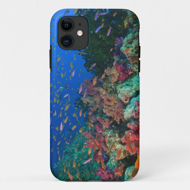 Coques Case-Mate iPhone Demoiselles Pseudanthias (Pseudanthias (Dos)