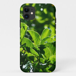 Coque iPhone 11 des feuilles verts de printemps frais. photographi