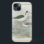Coques Pour iPhone Des tiltes noires au bord de l'eau<br><div class="desc">Cette impression d'art simple mais belle de deux pilotis à cou noir qui se tiennent au bord de l'eau par jour nuageux paraîtra parfaite sur n'importe quel produit Zazzle. Les couleurs neutres sont très relaxantes et feraient un grand ajout à votre maison ou bureau.</div>
