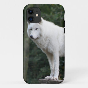 Coque Case-Mate Pour iPhone Destin animal d'amour de paix de nature de loup