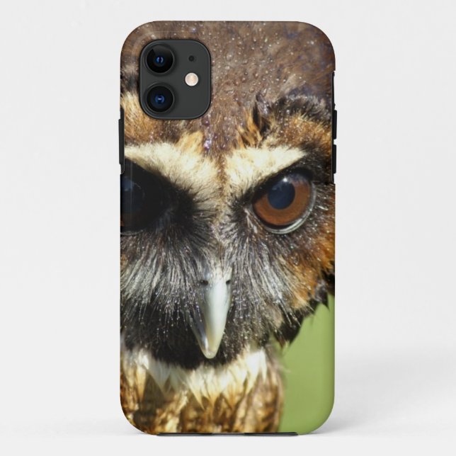 Coques Case-Mate iPhone Destin animal d'harmonie d'arbre de parc naturel (Dos)