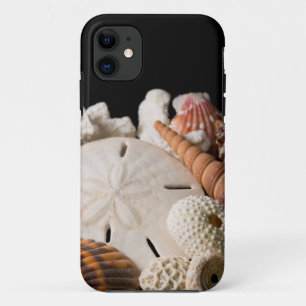 Coque iPhone 11 Détail de coquillages du monde entier