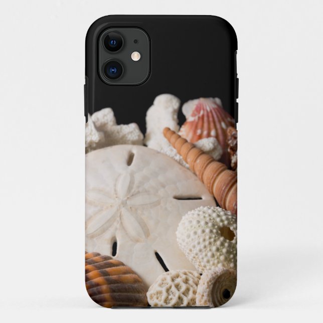 Coques Case-Mate iPhone Détail de coquillages du monde entier (Dos)