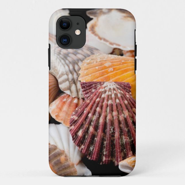 Coques Case-Mate iPhone Détail de coquillages du monde entier 2 (Dos)