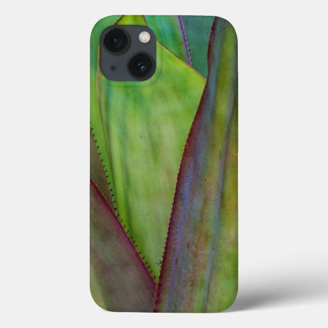 Coques Case-Mate iPhone Détail de la plante d'Agave (Verso)