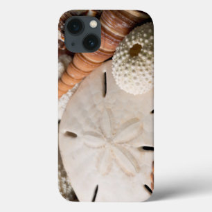 Coque Case-Mate iPhone Détail Des Coquillages Du Monde Entier