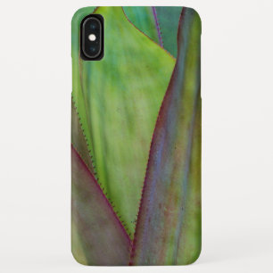 Case-Mate iPhone Case Détail du Plante Agave