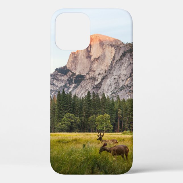 COQUES Case-Mate iPhone DEUX CERFS DEVANT LA DEMI-DOME DANS LA VALLÉE YOSE (Verso)