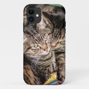Coque Case-Mate Pour iPhone Deux chats en difficulté