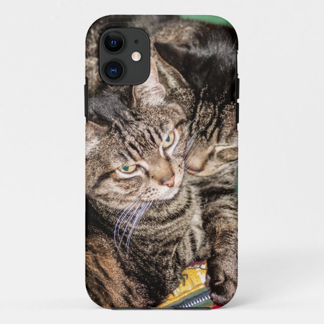 Coques Case-Mate iPhone Deux chats en difficulté (Dos)