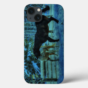 Coques Pour iPhone Deux Chevaux de Ranch Jouer à la nuit en hiver