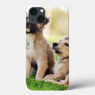 Case-Mate iPhone Case Deux chiots bergers allemands