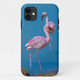 Coque iPhone 11 Deux Flamants roses roses