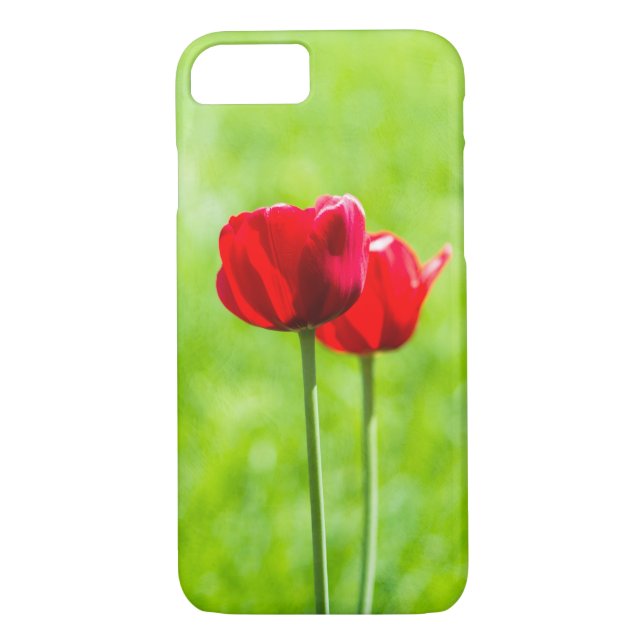 Coques Case-Mate iPhone Deux fleurs de tulipe rouge (Dos)