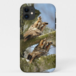 Case-Mate iPhone Case Deux hiboux dans les bois, oiseaux, faune Case-Mat