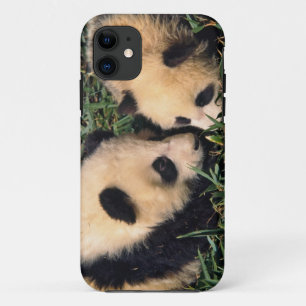 Coque iPhone 11 Deux oursons panda dans le buisson de bambou, Wolo