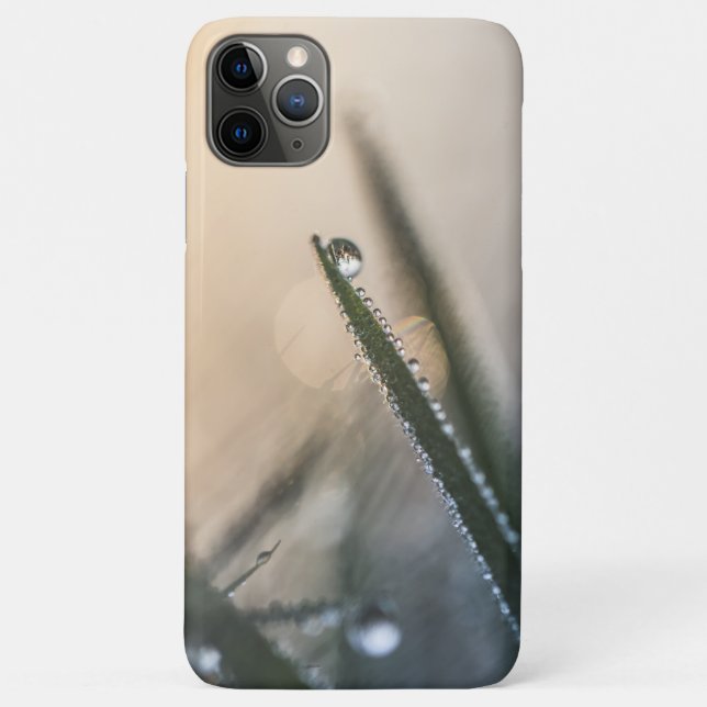 Coques Case-Mate iPhone Dew Droplet sur l'herbe Nature Photo (Dos)