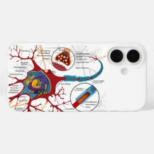 Coque Pour iPhone 16 Diagramme Neurone Complet Cellule Nerf Système Ner