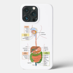 Case-Mate iPhone Case Diagramme Système digestif gastro-intestinal humai
