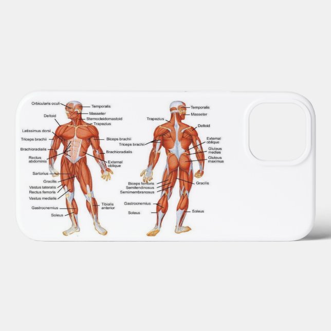Coques Case-Mate iPhone Diagrammes musculaires cadeaux101 (Verso (horizontal))